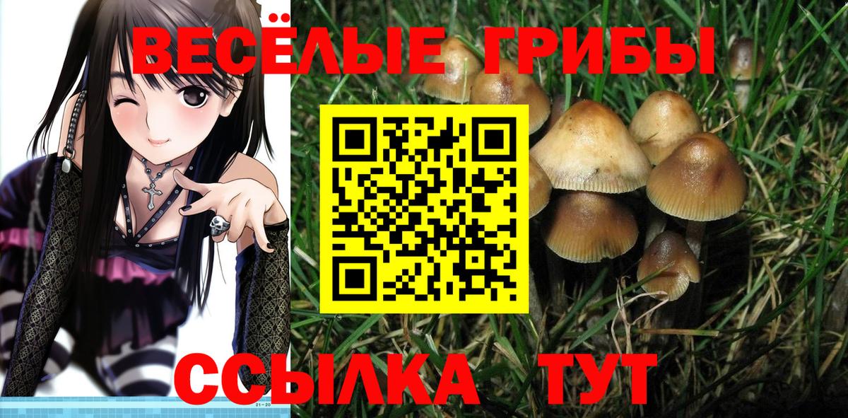 Галлюциногенные грибы MAGIC MUSHROOMS Ухта