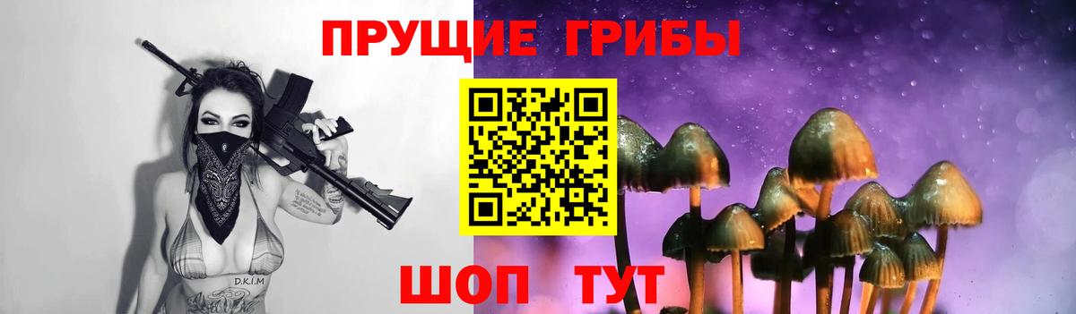 Ухта  Псилоцибиновые грибы Psilocybine cubensis  Вход с VPN 